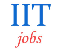 Assistant Professor Teaching Jobs in IIT