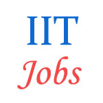 Various Professor jobs in Indian Institute of Technology (IIT)