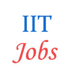 Various Jobs in Indian Institute of Technology (IIT), Patna