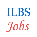 Various Jobs in Institute of Liver & Biliary Sciences (ILBS) 