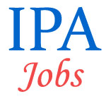 Assistants Jobs in Indian Port Association