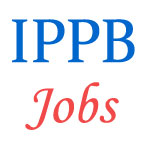 Manager Officers Jobs in IPPB