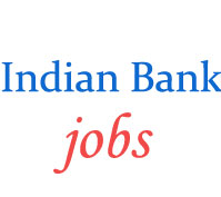 Specialist Officer Jobs in Indian Bank