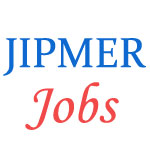 Nursing Officer and LDC Jobs in JIPMER