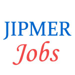 Teaching Jobs in AIIMS Mangalagiri by JIPMER