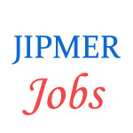 Various jobs in Jawaharlal Institute of Postgraduate Medical Education & Research (JIPMER)