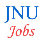 Teaching Jobs in JNU Delhi