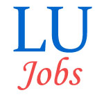 Teaching or Engineering Jobs in Lucknow University