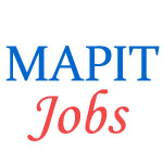 Technical Hiring IT Jobs by MAPIT