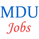 Teaching or Non-Teaching Jobs in MDU