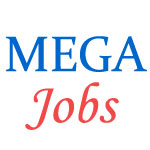 Experienced Manager Jobs in MEGA
