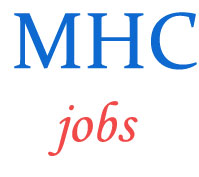 Personal Staff Jobs in  High Court Madras