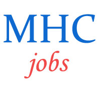 Residential Assistant Jobs in High Court Madras
