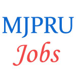 Teaching Jobs in MJP Rohilkhand University (MJPRU)