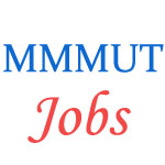 Various Professor jobs in Madan Mohan Malaviya University of Technology (MMMUT)