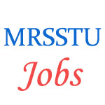 Various Professor Jobs in Maharaja Ranjit Singh State Technical University (MRSSTU)