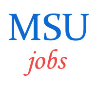 Clerical Technical Non-Teaching Staff Jobs in MSU
