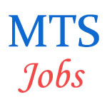 MTS Jobs in President Secretariat
