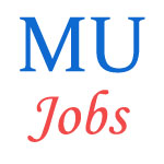 Teaching Jobs in Manipur University