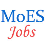 Scientist Jobs in MoES