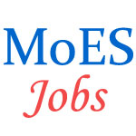 Project Scientist Jobs in National Center for Seismology (NCS)