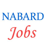 Managers Officers Jobs in NABARD
