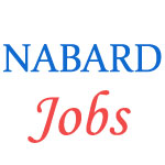 Jobs in National Bank for Agriculture and Rural Development (NABARD)