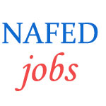 Assistant Manager (Accounts and IT) Jobs in NAFED