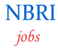 Scientist and Driver Jobs in NBRI