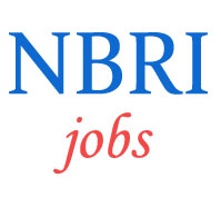 Scientist Jobs in NBRI