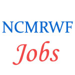 Scientists Jobs in NCMRWF