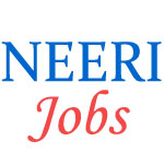 Technical Jobs in NEERI