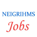 Various Jobs in North Eastern Indira Gandhi Regional Institute of Health & Medical Sciences (NEIGRIHMS)
