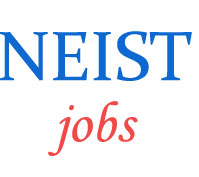 Scientist Jobs in North East Institute of Science and Technology (NEIST)