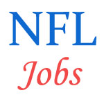 Management Trainees Jobs in NFL