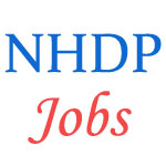 Handicrafts Professionals Jobs in NHDP Scheme 2017