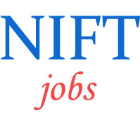 Junior Hindi Translator Jobs in NIFT