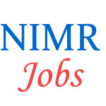 Scientist Jobs in NIMR
