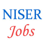 Various Jobs in National Institute of Science Education and Research (NISER)