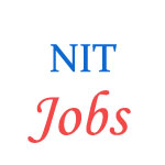 Various Professor Jobs in National Institute of Technology (NIT), Goa