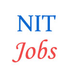 Various Jobs in National Institute of Technology (NIT), Delhi 