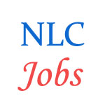 Various Jobs in Neyveli Lignite Corporation Limited (NLC)