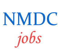 Engineer Executive Jobs in NMDC