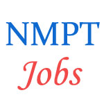 Various Manager Jobs in New Mangalore Port Trust (NMPT)