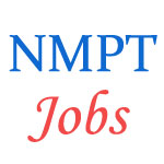 Various Manager Jobs in New Mangalore Port Trust (NMPT)