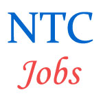 Clerks and Security Supervisor Jobs in NTC