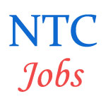 IT Jobs for experienced professional in National Textiles - February 2015