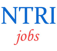 Teaching- Non-Teaching Jobs in NTRI