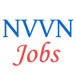 Executives Jobs in NTPC Vidyut Vyapar Nigam