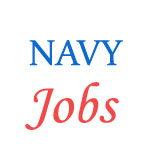 Pilot/Observer Jobs in Indian Navy
